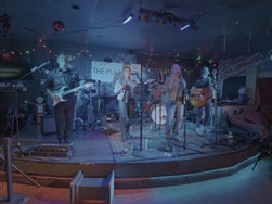 The Platonics band members performing