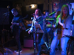 The Platonics concert performance